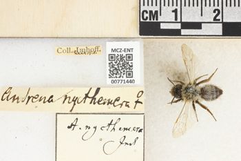 Media type: image;   Entomology 771440 Aspect: Labels